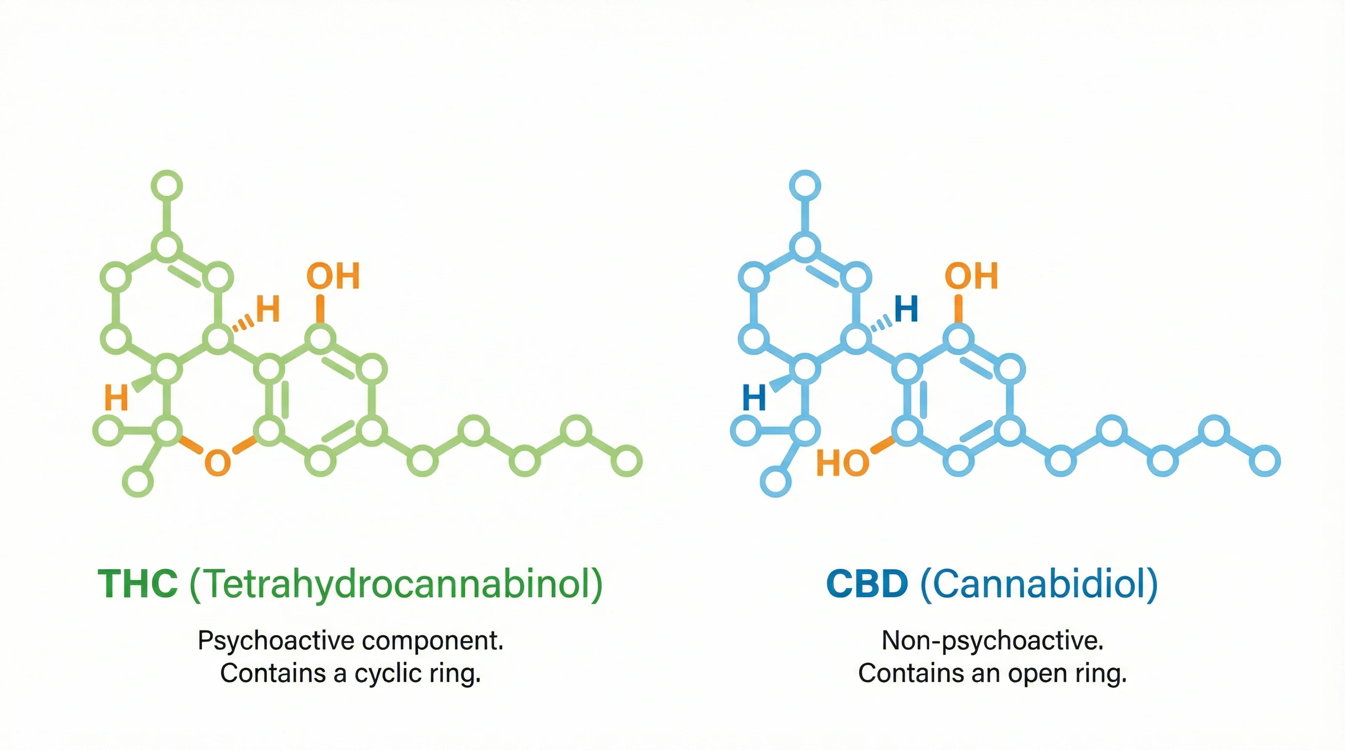Molecule and profile comparison for CBD formats.